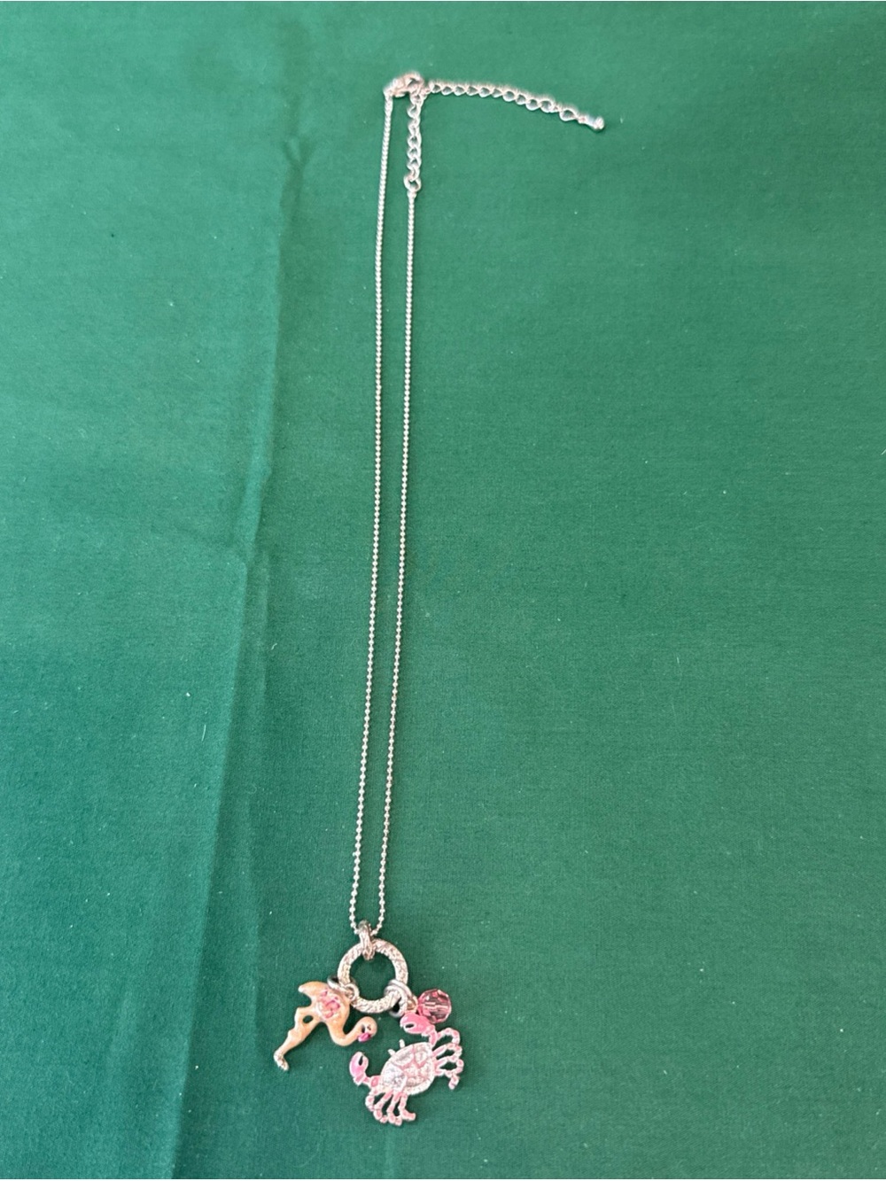 Playful SilverTone Florida Themed Multi charm Necklace 61D